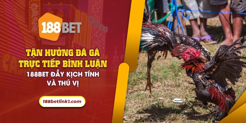 48 tan huong da ga truc tiep binh luan 188bet day kich tinh va thu vi